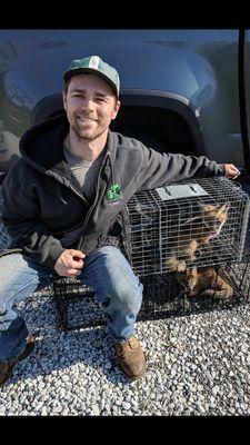 Fox kits that were given to a rehabilitation center in Chesterton, IN