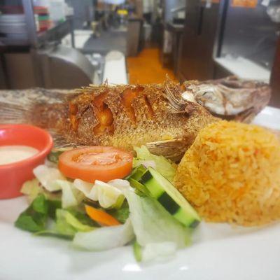 Mojarra Frita (Whole Tilapia)