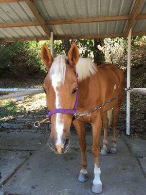 Goldie looking handsome as always!