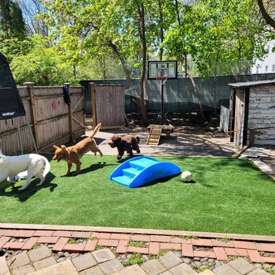 Large outdoor play yards.