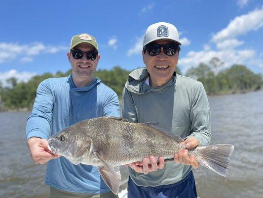 Black Drum caught on an Inshore charter