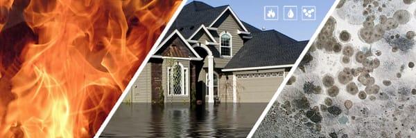 Maven Construction Group - Water, Mold and Fire Damage Cleanup and Restoration