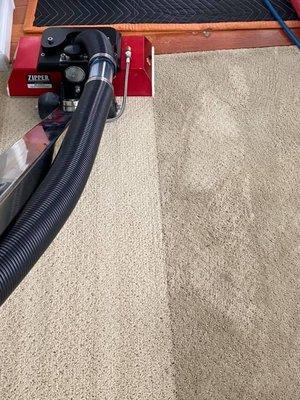 carpet cleaner