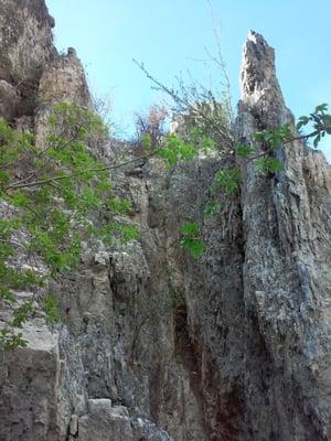 waterfall dry in Spring?