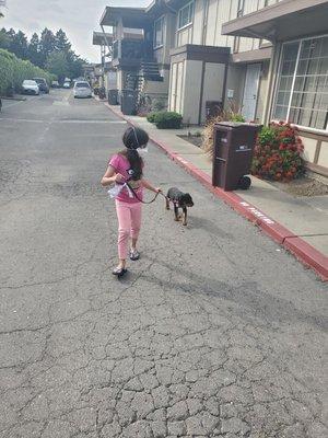 My girl helping walk boarder