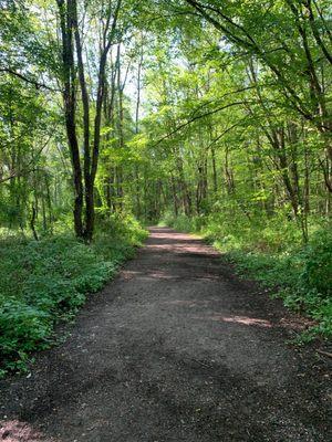 Entrance to the Arboretum