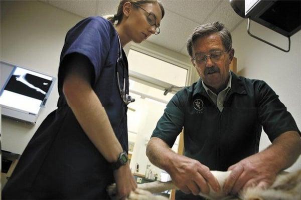 Dr. Jennifer Presleigh and Dr. Randy Presleigh examine a healing bone fracture.