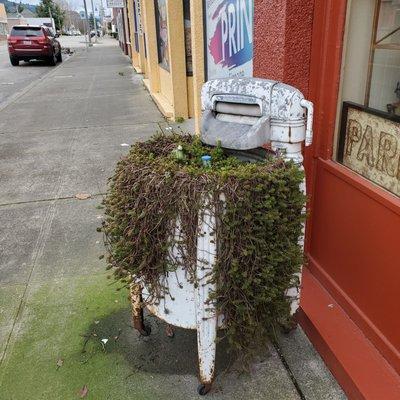 Love this outdoor feature. And old clothes washer I believe.