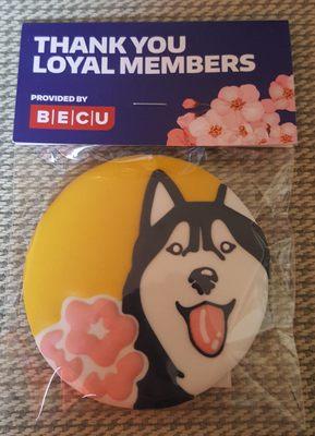 Kindly given a UWAA Husky cookie, too epic to eat though. Go Huskies - woof! (4/5/22)