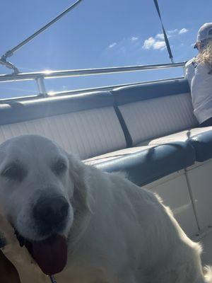 Sandy the first mate! Everyone loves her.