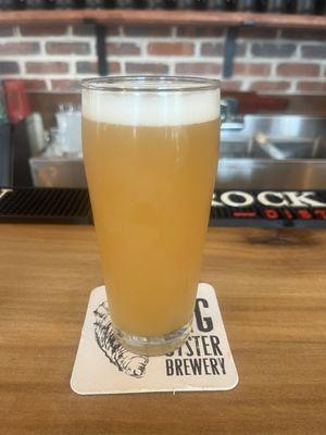 Experimental IPA, an excellent citra hops hazy IPA.