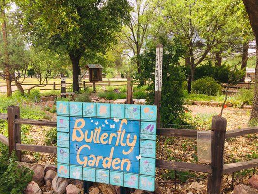 Cute little butterfly garden.