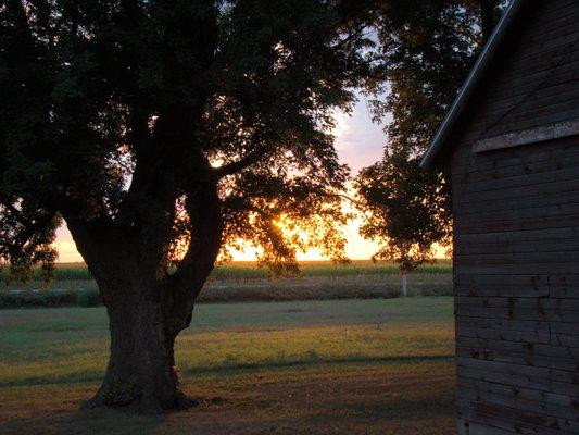 Farm Life is the BEST!