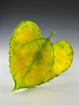 Glass sunflower leaf - cast from a real leaf by artist Deb Williams.  At the downtown (15 Broadway St.) location.