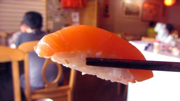 Beautiful and Scrumptious Salmon Nigiri