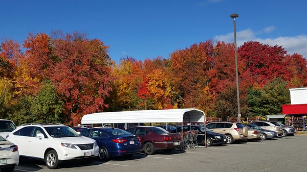 Fall falls at BJ's