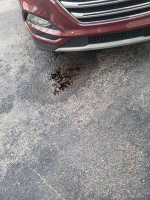 Oil leak before hand