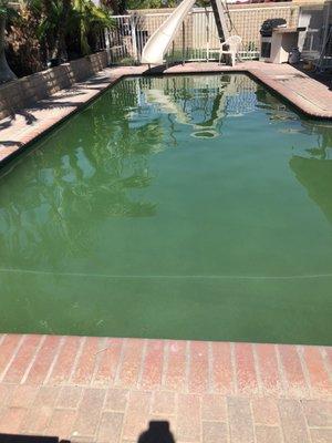 My green algae filled pool today, 4 days after they were supposed to clean it and fix the problem.