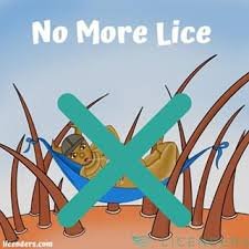 One treatment and you are lice free.