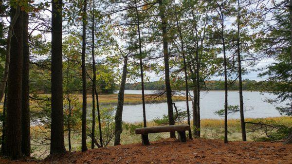 Stop and think about the salt marsh.