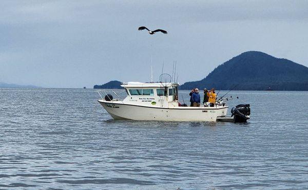 Alaska Strike Zone Sportfishing