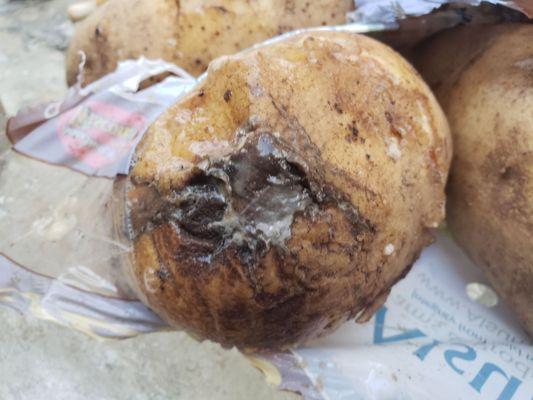 ROTTEN POTATOES!  This picture was taken exactly 20 hours after purchase!  Potatoes should last weeks!  This is nasty, and, a health risk!