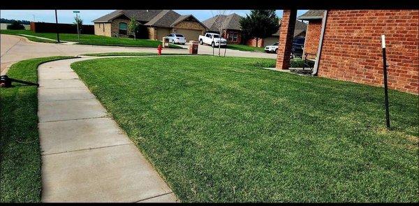 Lawn mowed