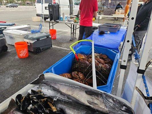 Crabs, mussels, Oysters, Lobster