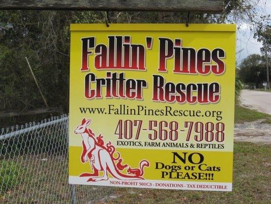 Fallin Pines Critter Rescue