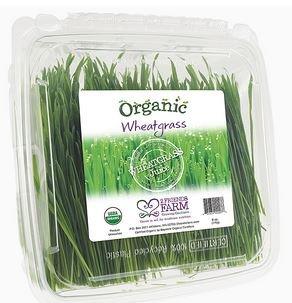 Organic Wheatgrass