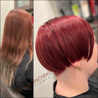 Transformation. Color & Cut