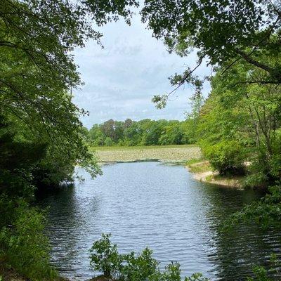 prestons pond