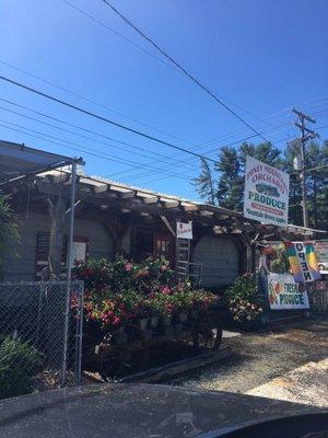 Piney Mountain Orchard Produce