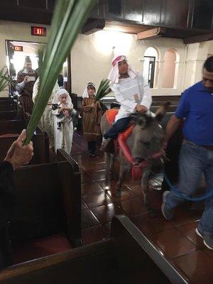 Palm Sunday animals