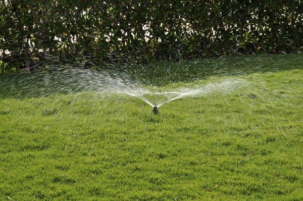 Jose Lawn Sprinkler Service