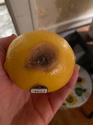 Rotten lemon.