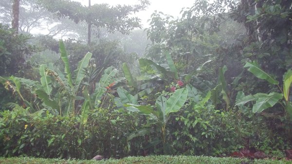 Beautiful Patio View at Villa Blanca in Costa Rica