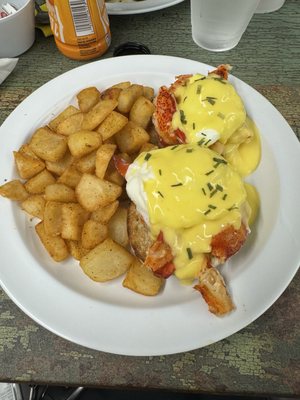 Lobster Benedict, plate looks great before you cut into it and eat it.