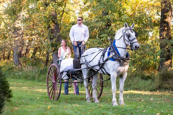 Around the farm in style!