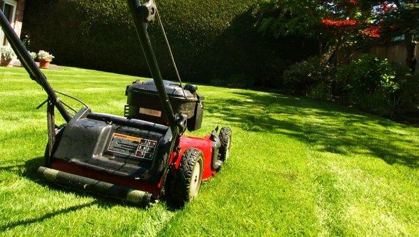 Hammond Lawn Care Services