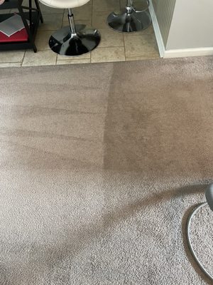 Living room carpet! Look at the difference!