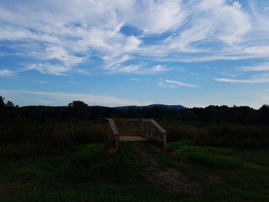 Wildlife viewing platform