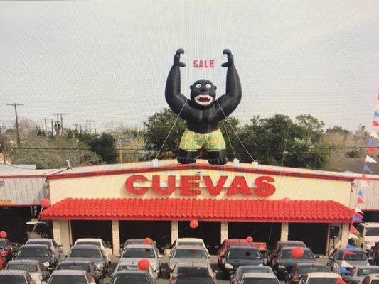 Cuevas Auto Sales