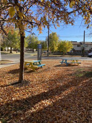 Picnic benches