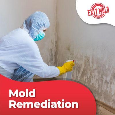 Mold Remediation New York - Exit Mold