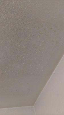 Water coming thru ceiling