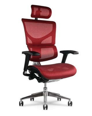 X2 Ergonomic Chair