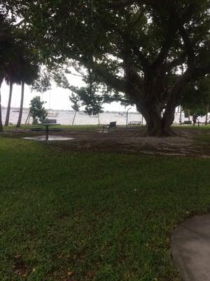 Beautiful waterfront park with lots of places to sit and enjoy the water