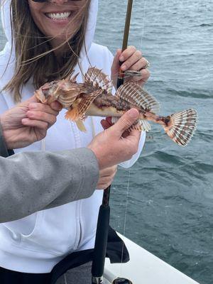 A long-horned sculpin fish (a "Pokémon" fish).