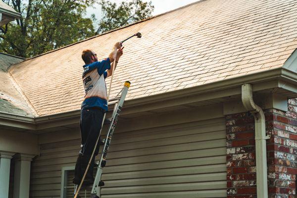 SoftWash Roof Cleaning